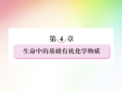 高中化学选修五   4.1 《油脂》课件