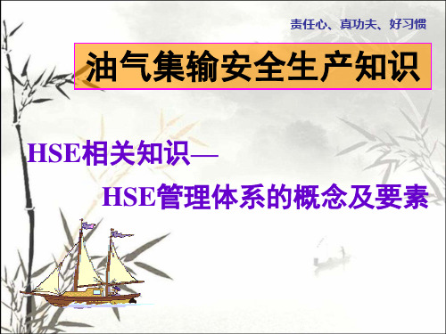 HSE管理体系的概念及要素(油气集输安全生产知识) PPT