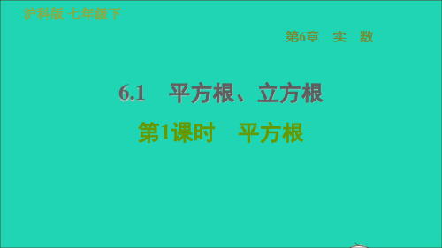 七年级数学下册第6章实数6.1平方根立方根第1课时平方根课件沪科版