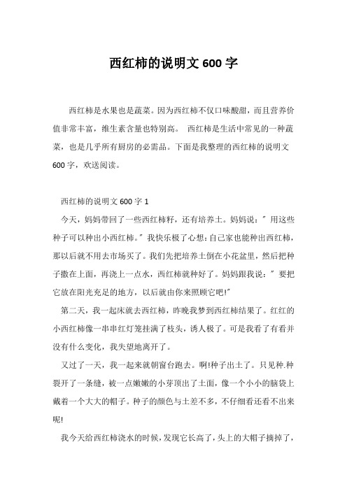 (说明文)西红柿的说明文600字