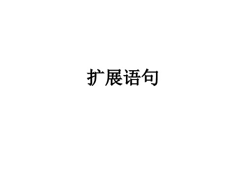 扩展语句(1)