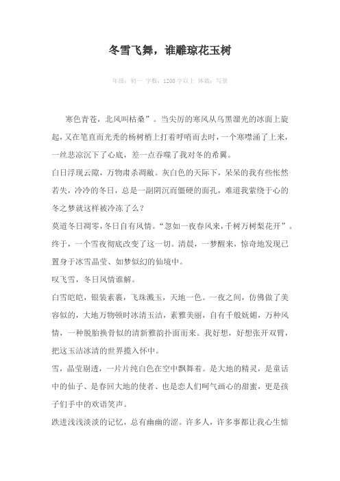 冬雪飞舞,谁雕琼花玉树1200字以上作文
