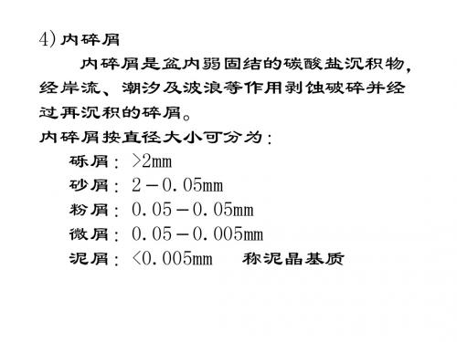 沉积岩的结构-2