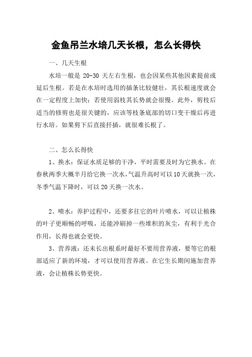 金鱼吊兰水培几天长根,怎么长得快