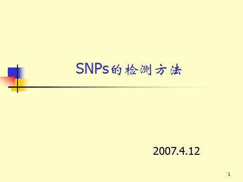 SNP检测方法