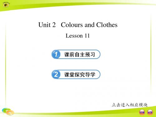 Unit 2Colours and Clothes Lesson 11(冀教版七年级上册)