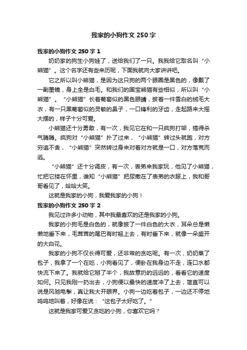 我家的小狗作文250字5篇