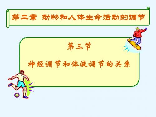 2.3《神经调节与体液调节的关系》