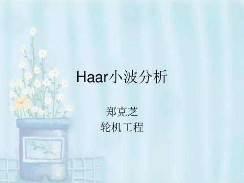 Haar小波分析