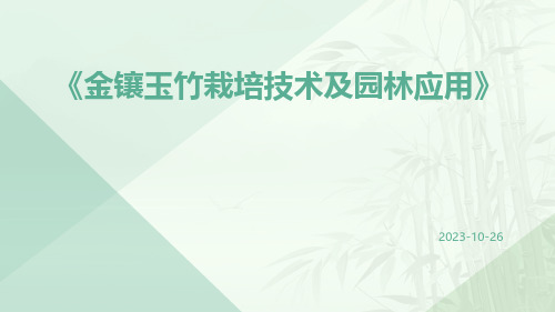 金镶玉竹栽培技术及园林应用