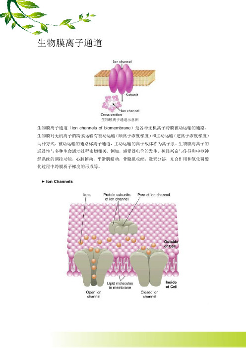 生物膜离子通道