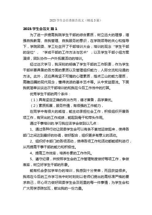 2023学生会自查报告范文（精选3篇）