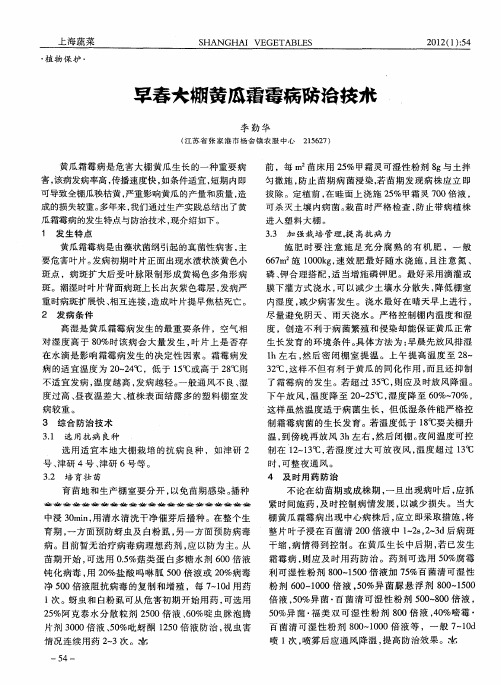 早春大棚黄瓜霜毒病防治技术