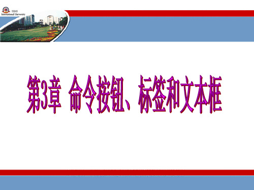 第3章命令按钮、标签和文本框控件