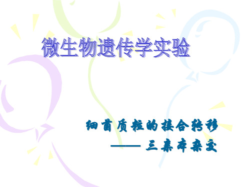 微生物遗传-结合转移