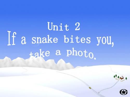 八年级英语下Module 4 New technology Unit 2 If a snake bites you,take a photo课件外研版