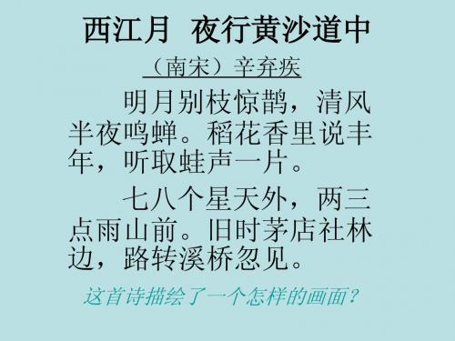 教科版八年级下思想品德人类的朋友