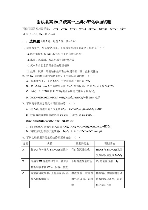 四川省遂宁市射洪县2017-2018学年高一上学期期末统考实验小班加试化学试卷