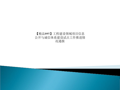 【精品PPT】工程建设领域项目信息公开与诚信体系建设试点工作推进情况通报