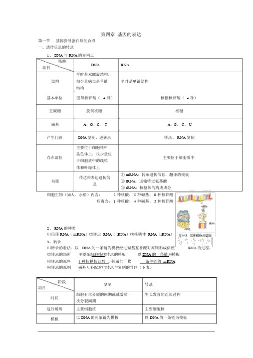 完整版高三生物考前必背知识点：必修2第4章基因的表达