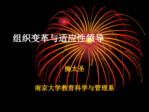 组织变革与适应性领导