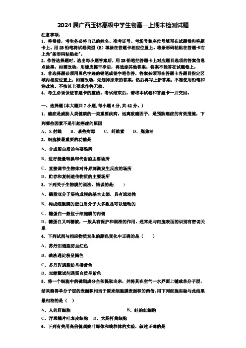 2024届广西玉林高级中学生物高一上期末检测试题含解析