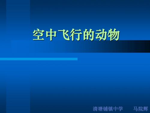 s5.1.3.1空中飞行的动物(一)