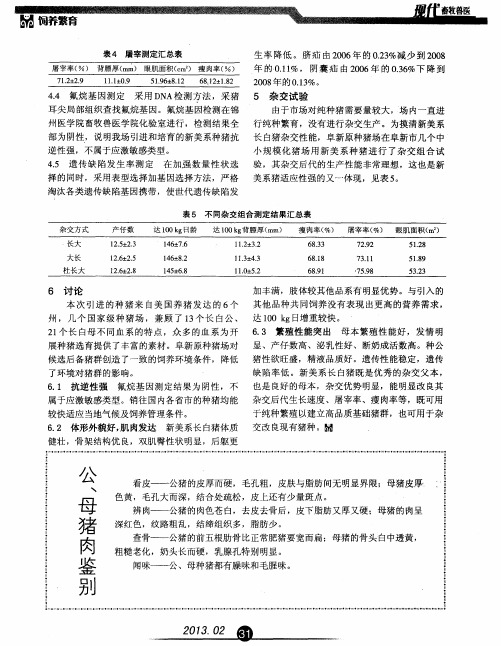 公、母猪肉鉴别