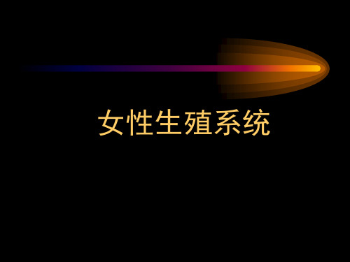 医学检验系统解剖学7-女性生殖系统