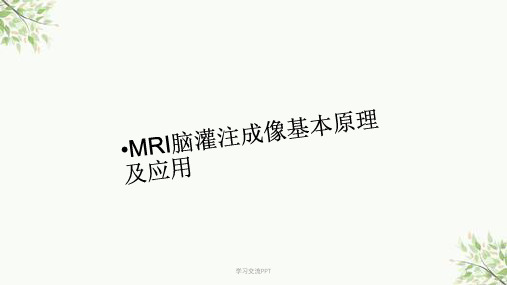 mr脑灌注成像课件