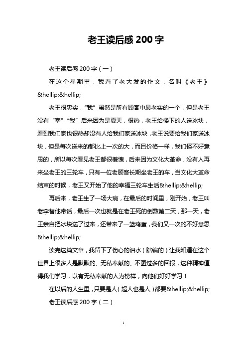 老王读后感200字