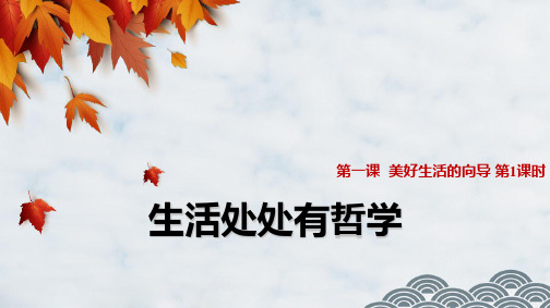 高中政治必修4精品课件10:1.1 生活处处有哲学