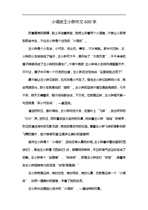 小调皮王小胖作文600字