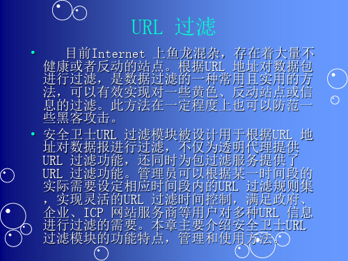 URL 过滤