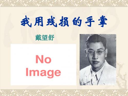 《我用残损的手掌》PPT课件5(1)