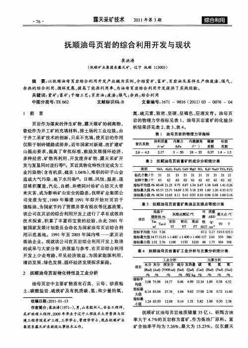 抚顺油母页岩的综合利用开发与现状