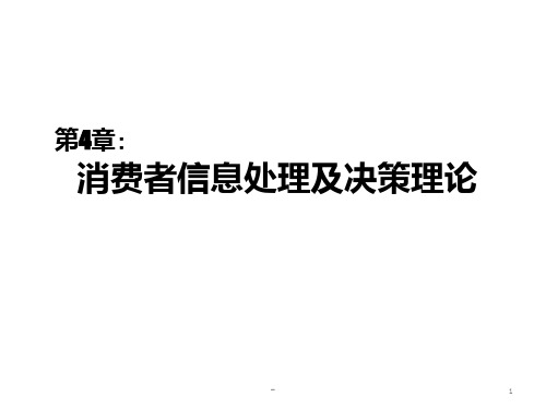 第四章-消费者信息处理及决策理论(消费者行为学-中山大学)PPT课件