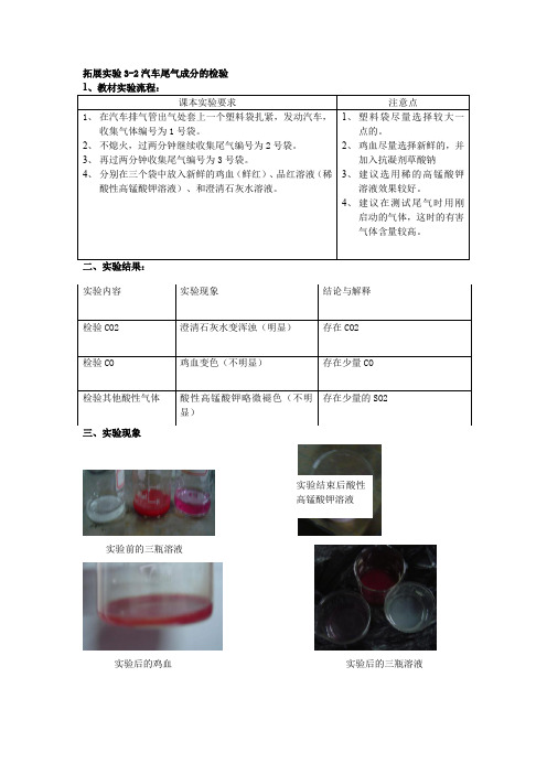 拓展实验3-2汽车尾气成分的检验概要