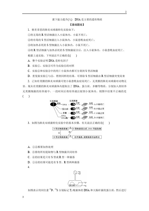 全国版2019-2020学年高一生物人教版必修二课下能力提升：九 Word版含解析