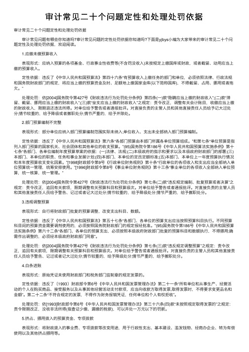 审计常见二十个问题定性和处理处罚依据