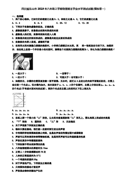 四川省乐山市2019年八年级上学期物理期末学业水平测试试题(模拟卷一)