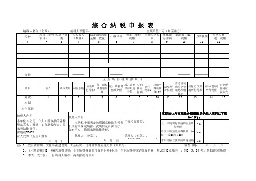 2012河南空白财务报表及申报表