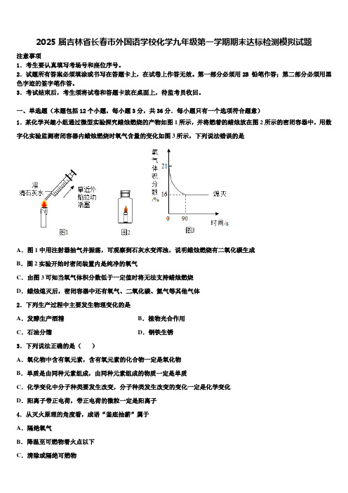 2025届吉林省长春市外国语学校化学九年级第一学期期末达标检测模拟试题含解析