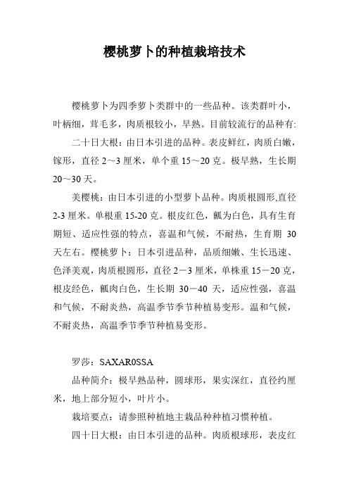 樱桃萝卜的种植栽培技术