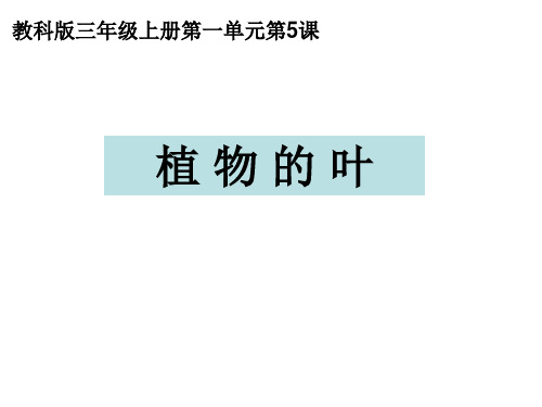 教科版小学三年级上册科学 植物 植物的叶