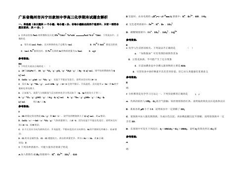 广东省梅州市兴宁田家炳中学高三化学期末试题含解析