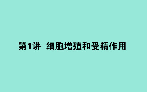 高考生物二轮复习3.1细胞增殖和受精作用课件