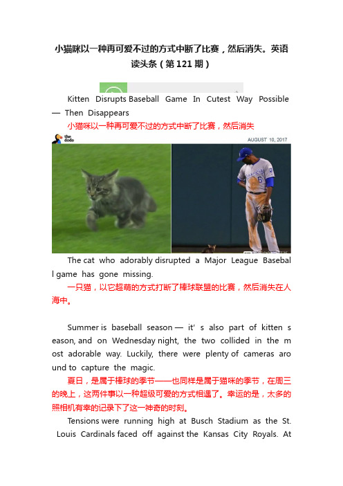 小猫咪以一种再可爱不过的方式中断了比赛，然后消失。英语读头条（第121期）