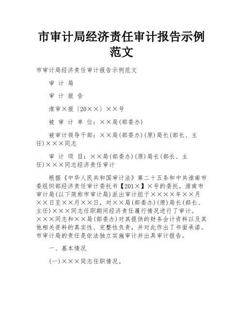 市审计局经济责任审计报告示例范文