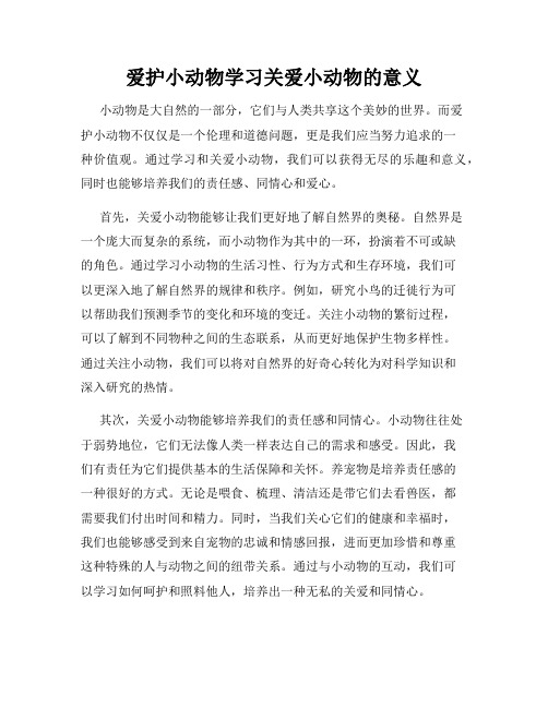 爱护小动物学习关爱小动物的意义